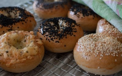Bagel